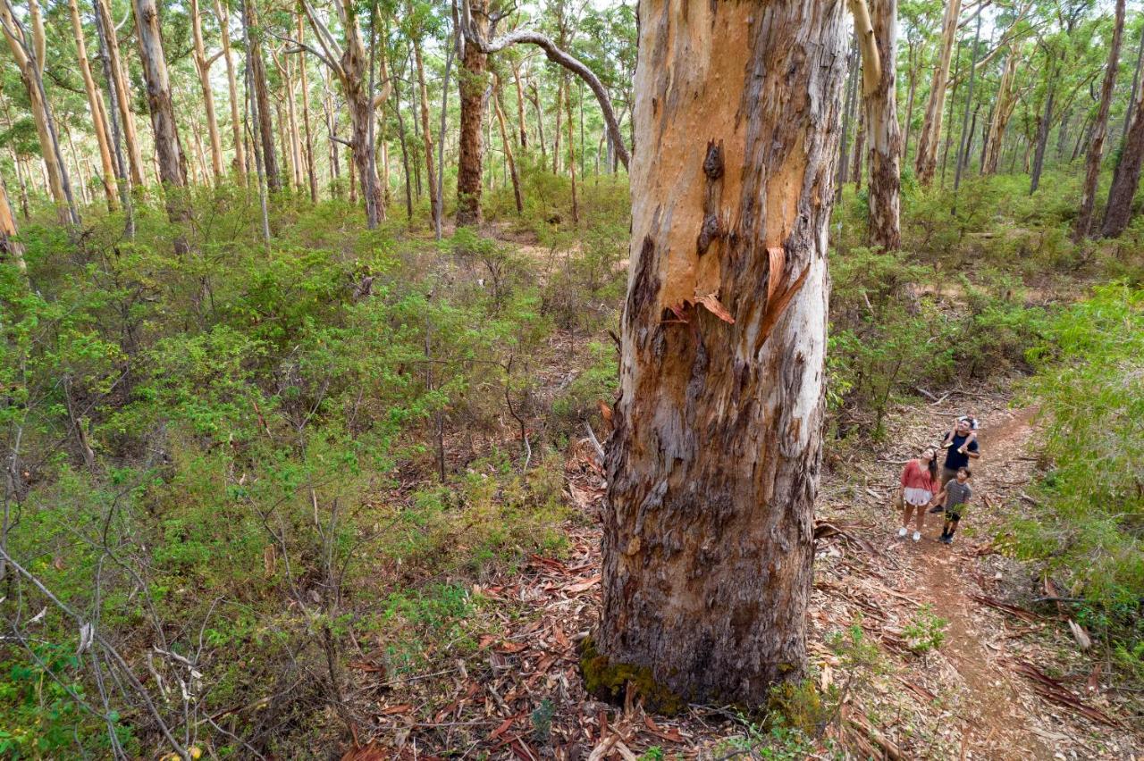 Rac Margaret River Nature Park Kültér fotó